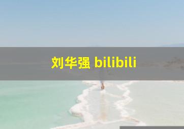 刘华强 bilibili